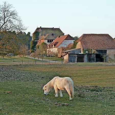Elgersheimer Hof Volkach Kültér fotó