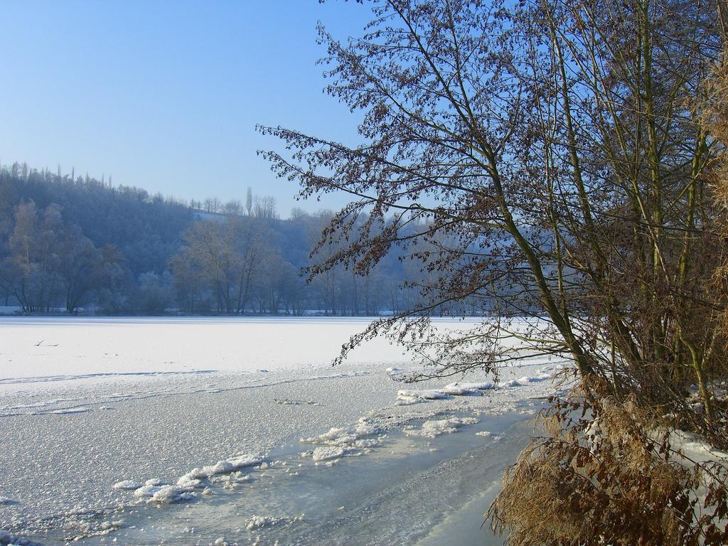 Elgersheimer Hof Volkach Kültér fotó